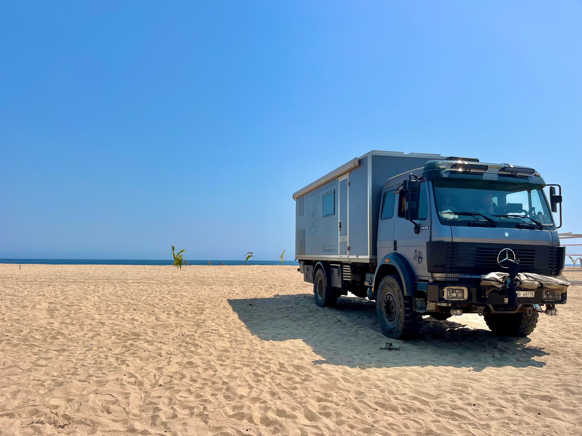 Ellie freistehend am Sandstrand am Meer